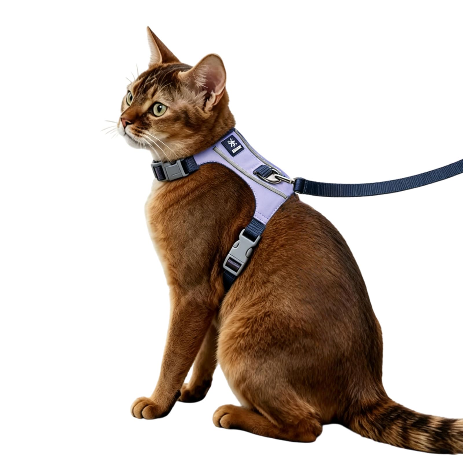 Anlitent Cat Harness and Lead Set for Walking Escape Proof Soft Adjustable Cat Leash Breathable Comfortable Vest Easy to Wear Kitten Harnesses for Rabbit, Small Animals Outdoor Travel 1-3kg XS