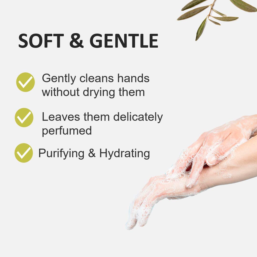 Cucina Purifying Hand Wash Coriander and Olive Tree 16.9 Fl Oz Glass Bottle by Cucina