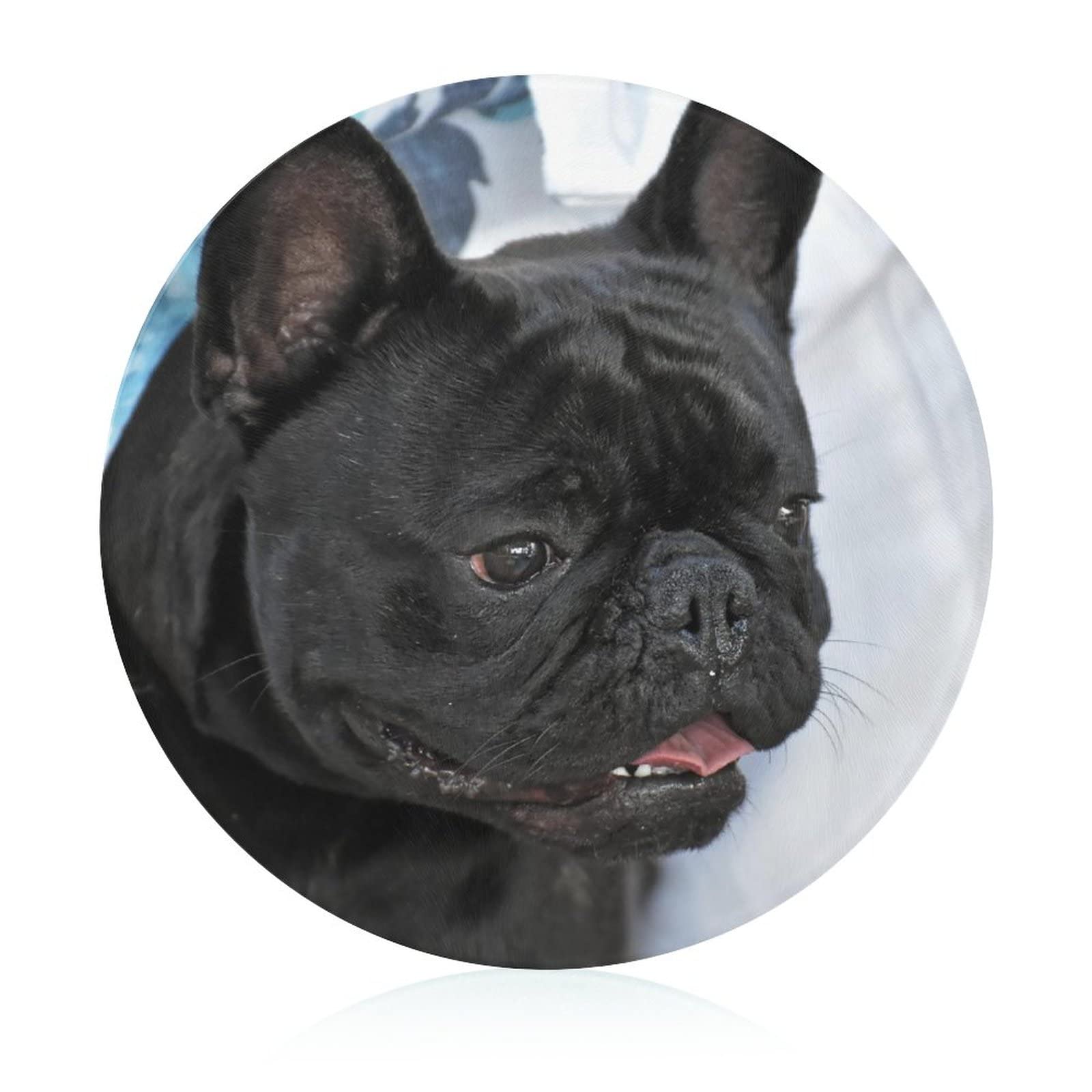 Planche en verre trempé bouledogue noir pour plan de travail propre