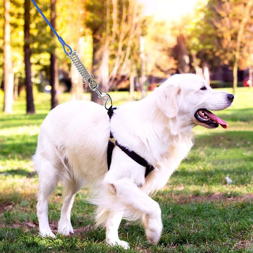 DONGKER Cavo per Legare Cani,3m Guinzaglio per Cane con Molla Ammortizzante e Gancio Girevole in Metallo per Giardino Campeggio Corsa