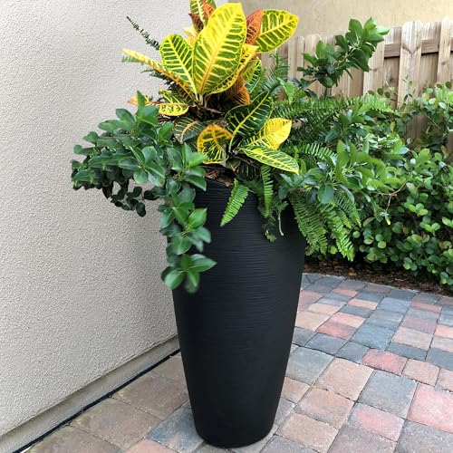 Mayne Modesto 32in Tall Planter - Black - 16in L x 16in W x 32in H - 6 Gallons of Soil Capacity with False Bottom (8880-B) by Mayne - Image 6