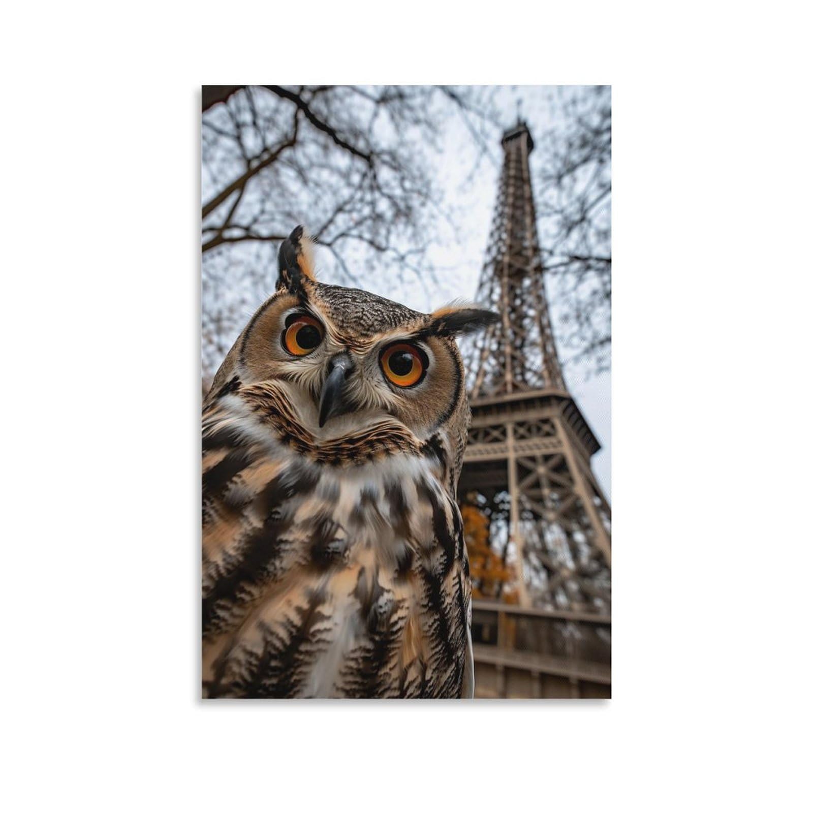 Amazon.co.jp: 絵画 エッフェル塔とフクロウの写真インテリア 絵画