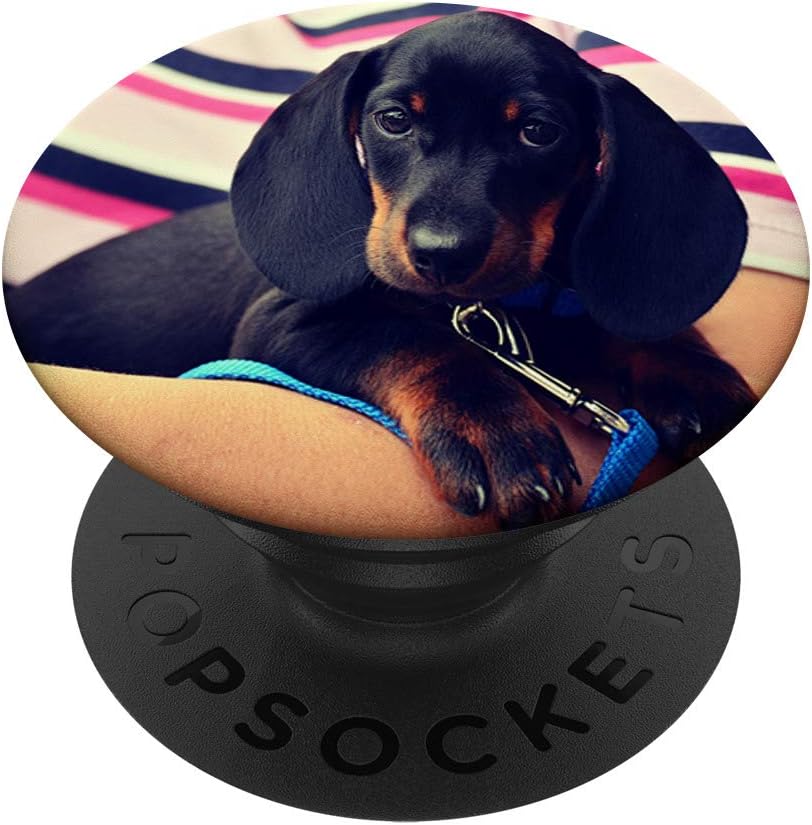 Dachshund popsocket Clearance