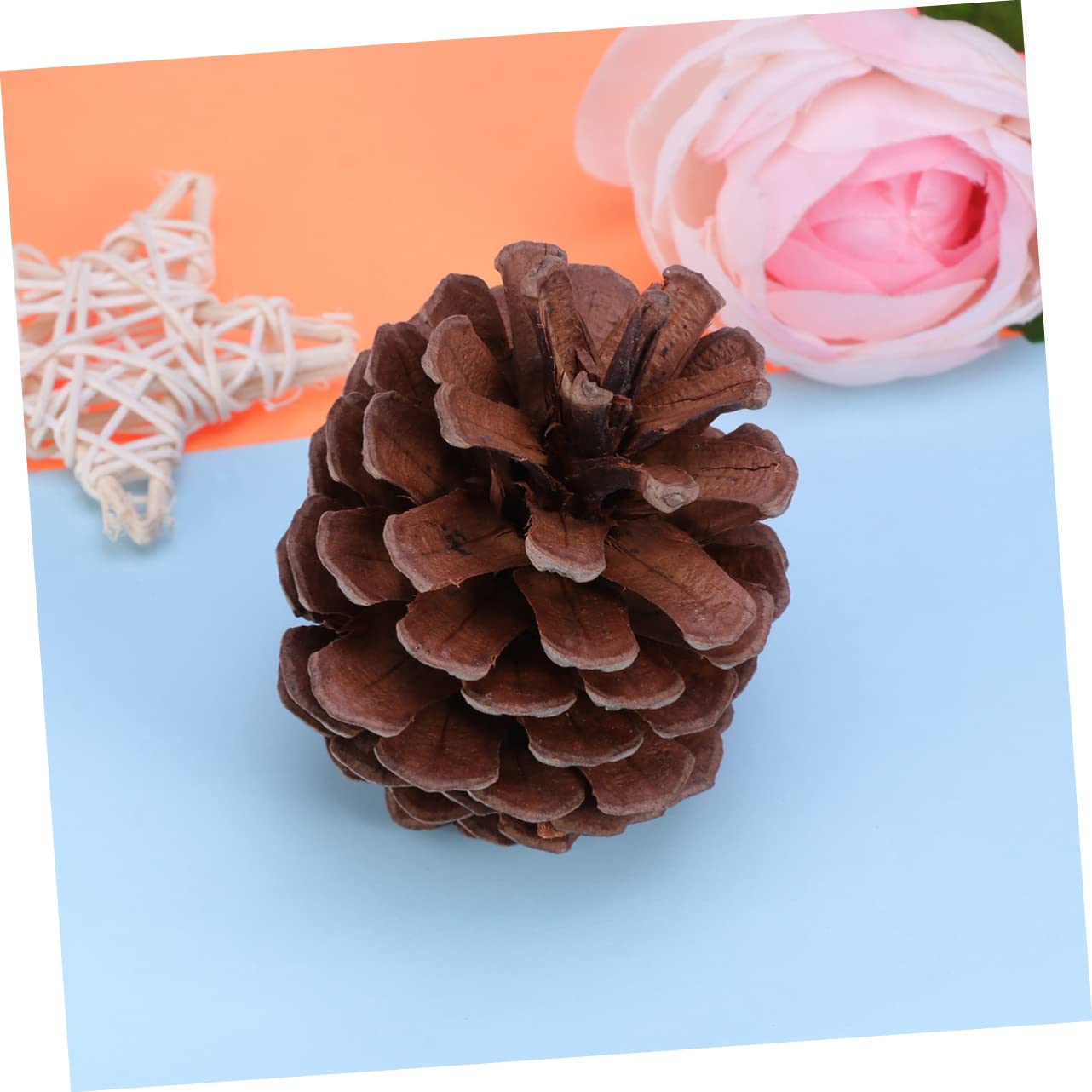 Natürliche Tannenzapfen Dekoration 50 Stück, 6-8cm, Weihnachten | Wiederverwendbar, für Winter und Festliche Arrangements, Passend für Bürogebäude und Restaurantdekoration