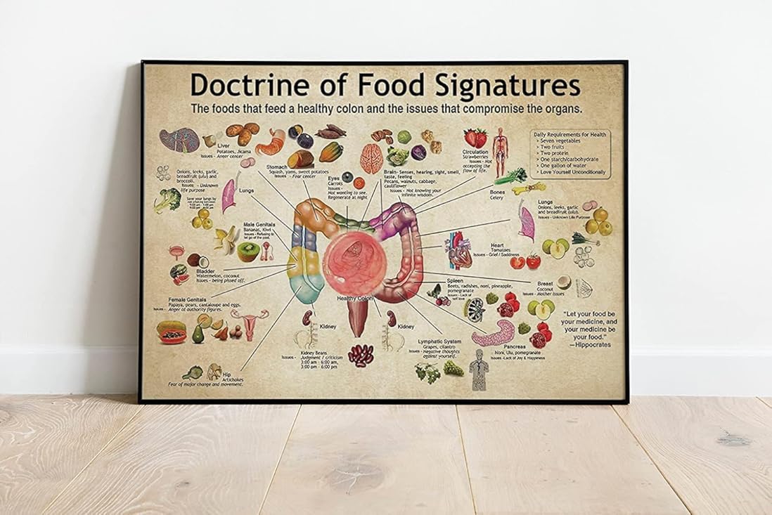 Xingfox Tin Sign1 Vintage Metal Tin Sign, Doctrine Of Foods Signatures Knowledge Retro Poster Colon Knowledge Nutrition Doctors Gift Hospital Decor Home Room Office Wall Plaque 8X12 Inch