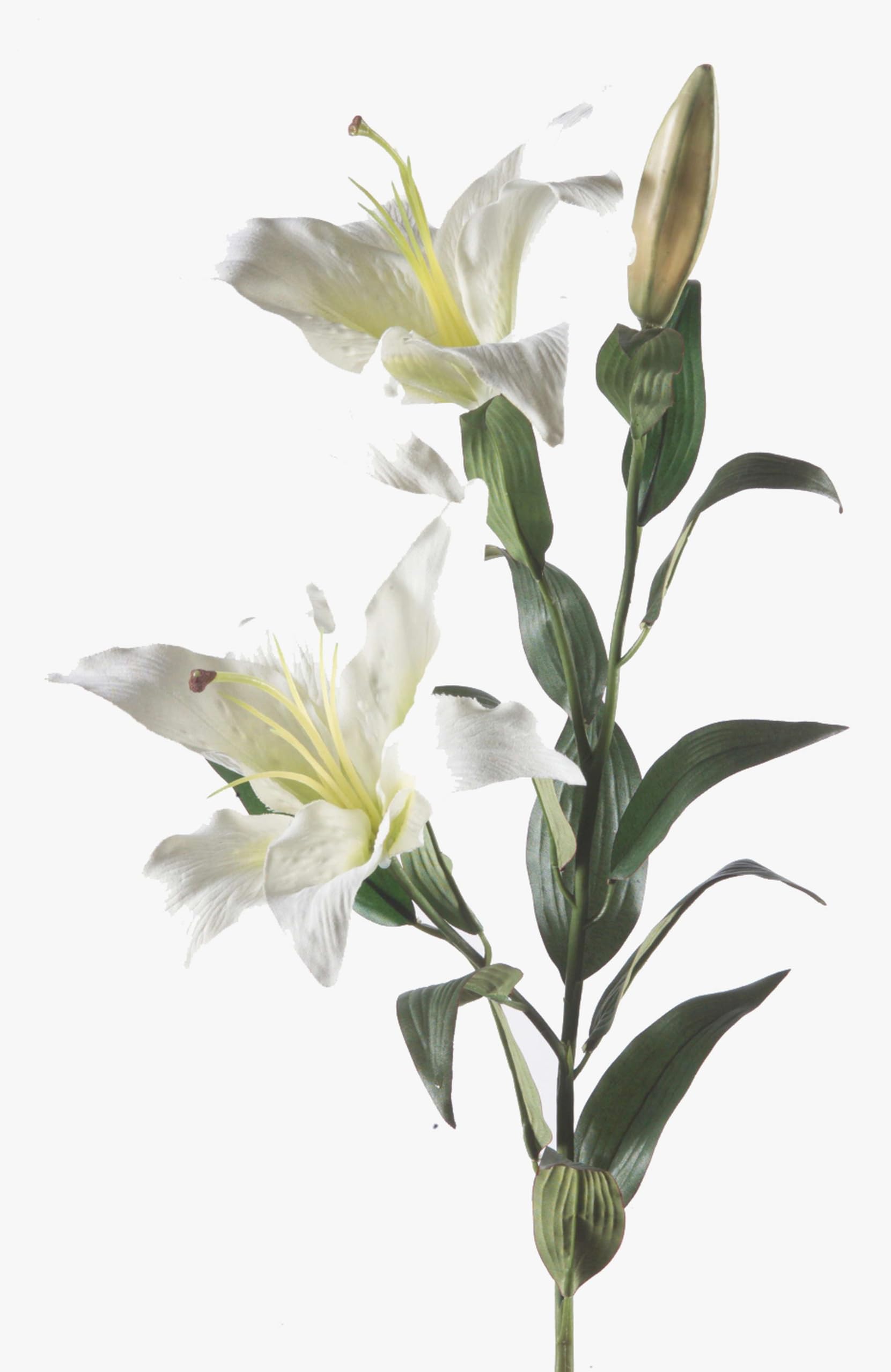 artplants.de Silk flower Lily with 2 blossoms, white, 3ft/95cm, Ø 6"/15cm - Artificial lily/Plastic flower