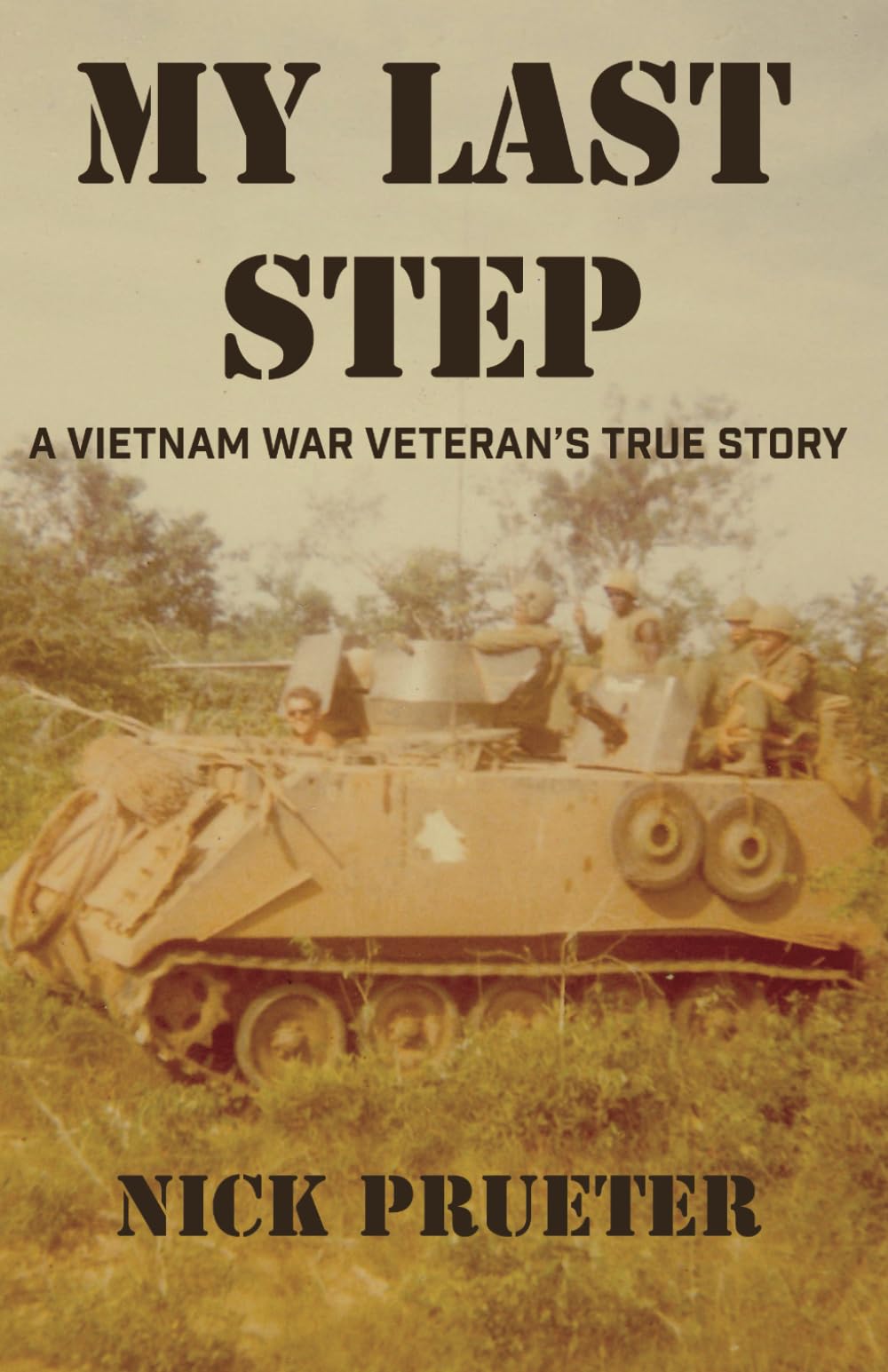 My Last Step: A Vietnam War Veteran's True Story