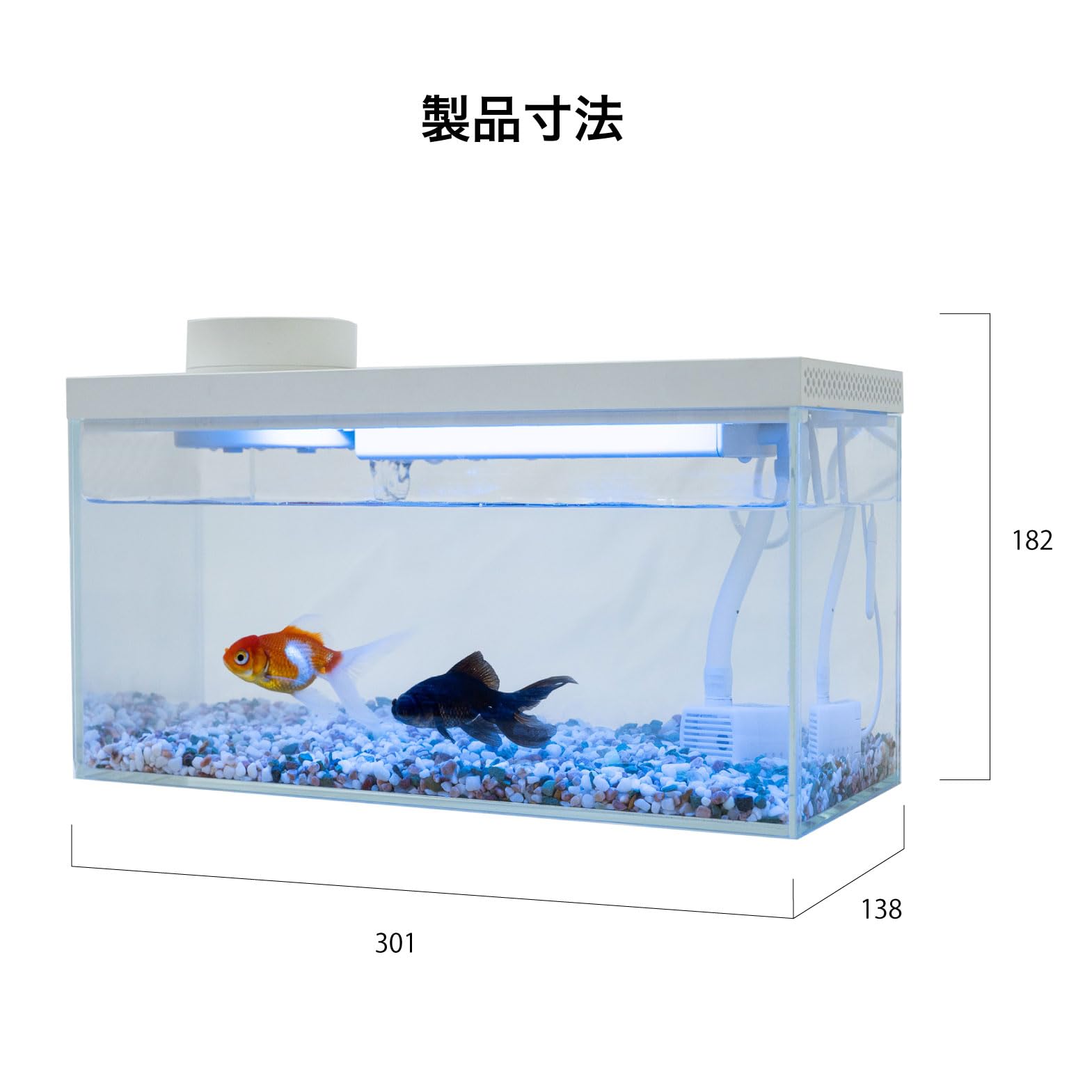Amazon | 小型 オールインワン スマート水槽 多機能水槽☆FiSH-α3 IOT