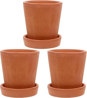 Hemoton Hoog kwaliteit 3 conjuntos de vasos de plantas suculentas Vasos de bonsai de cerâmica com suporte inferior