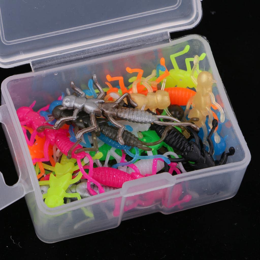 Amazon.com : Premium Stonefly Fishing Lures Assortment - Set