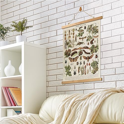 Vintage Entomology Poster Hanger Frame, Retro Style Wall Decor Art Painting, Patterns Are Printed On Canvas Without Fading, Living Room Office Classroom Bedroom Apartment Decor,Educational Chart #TOP5