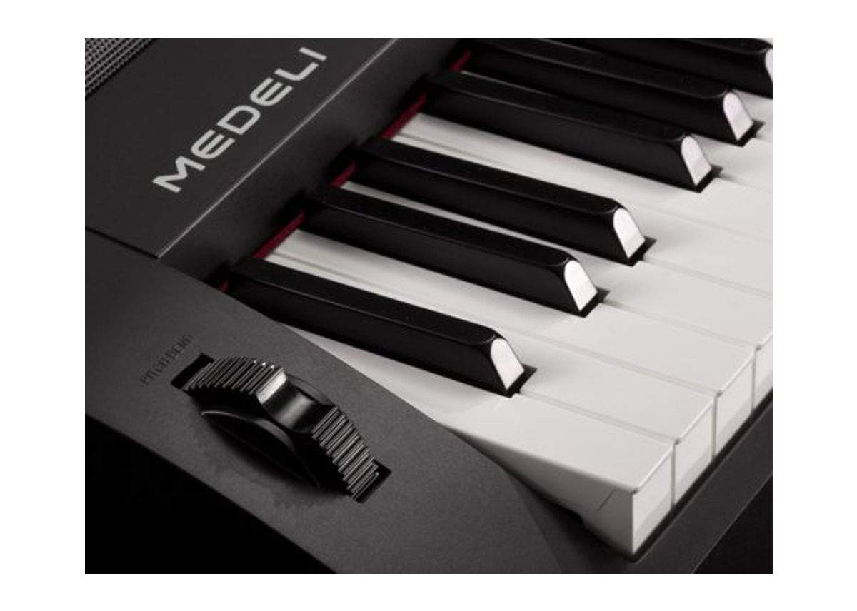 Amazon.com: Medeli SP4200 Digital Piano with 88 Full-Sized