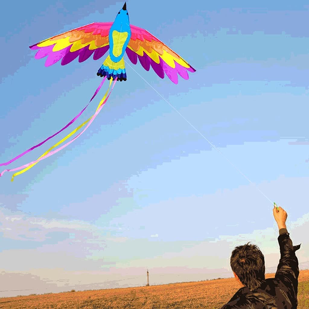 Cerf-volant Phénix 107x71 Pouces – Grand Cerf-volant Monofil Avec Queue 190 Cm – Pour Adultes Et Enfants – Débutant