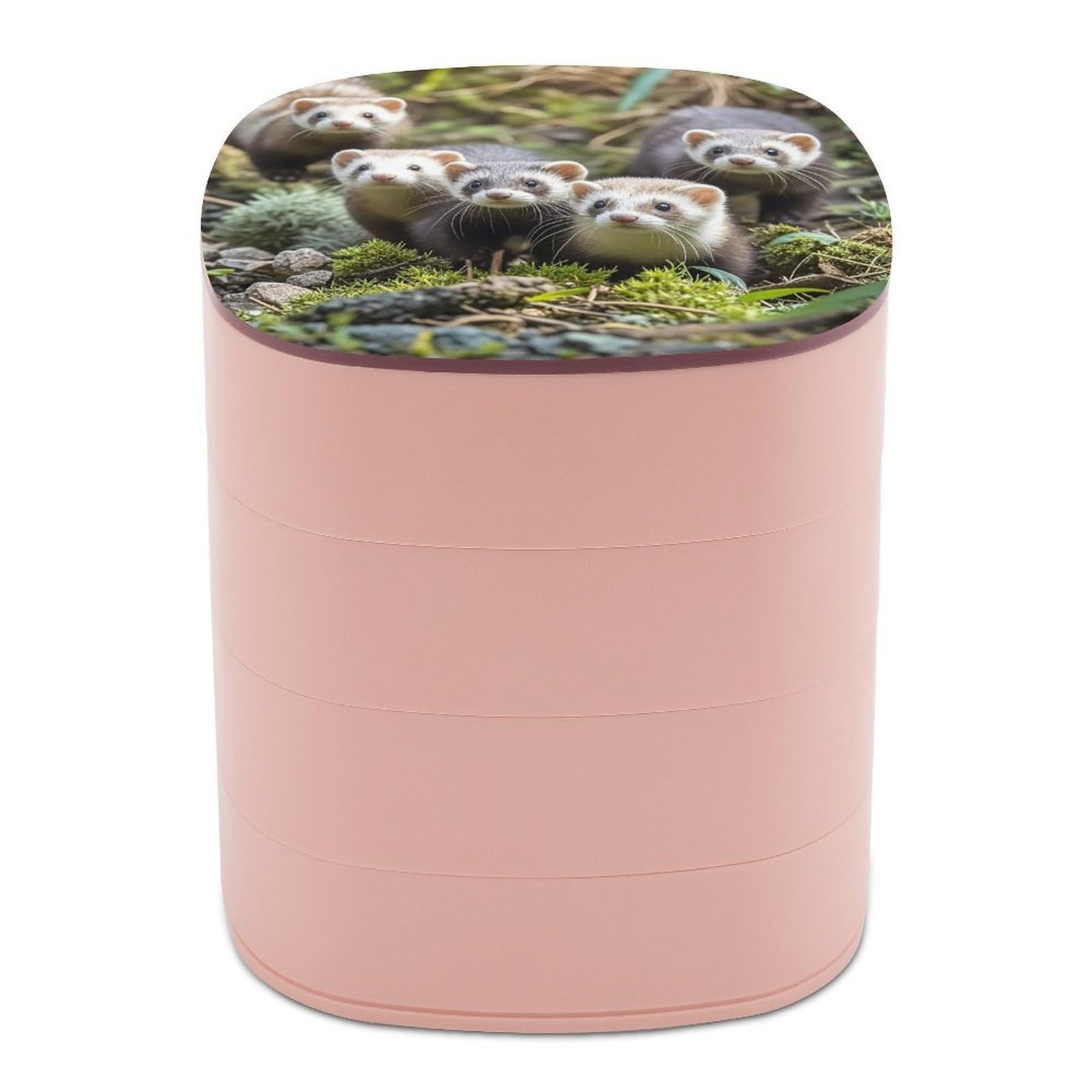 FekiLoot Rotating Ferrets Jewelry Box Large Capacity Jewelry Organizer with Mirror 4 Tier Hoop Ring And Earring Holder With Lid Small Travel Jewelry Case for Women