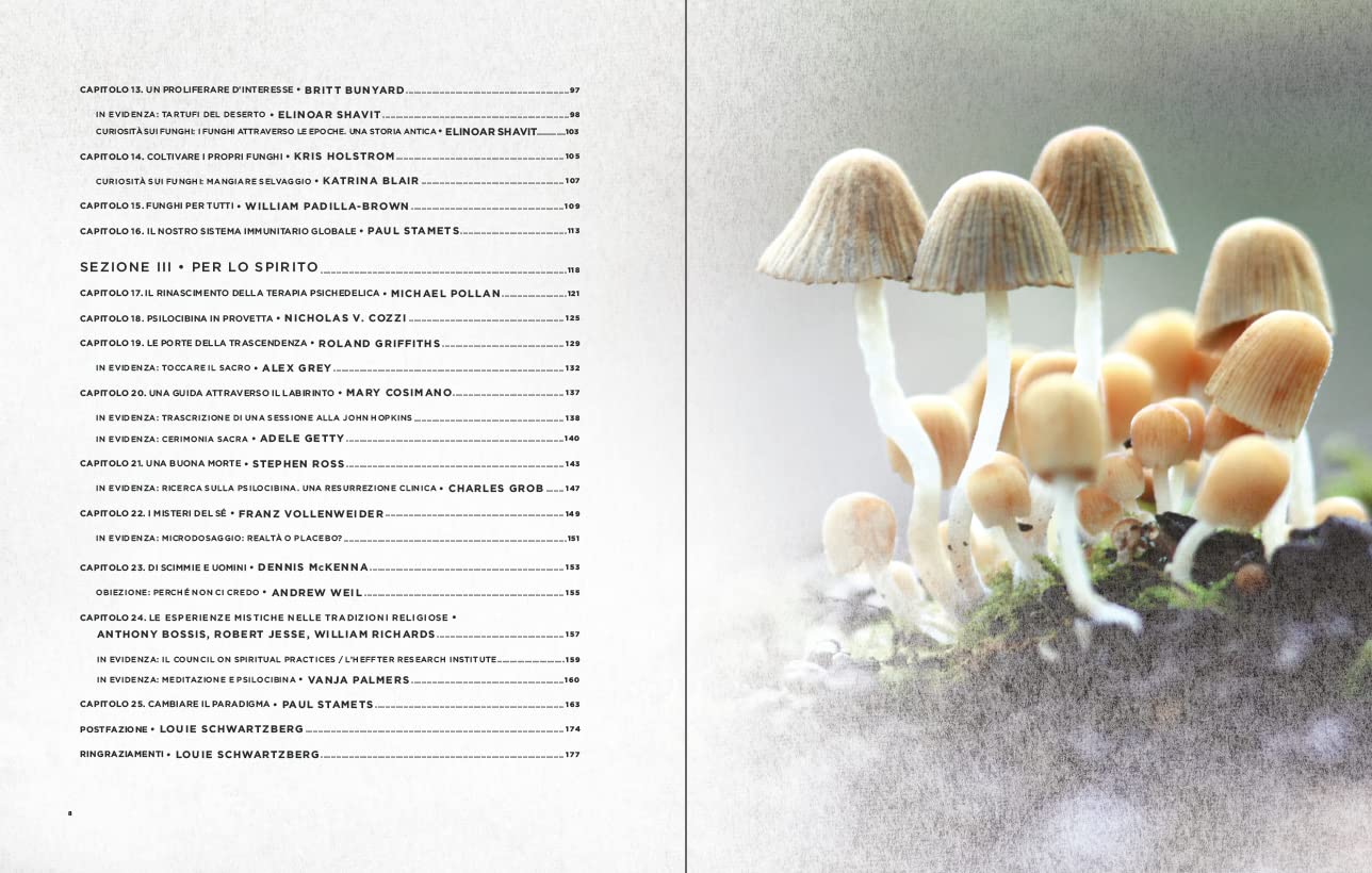 Funghi Fantastici: come i funghi possono curarci, espandere la nostra coscienza e salvare il pianeta