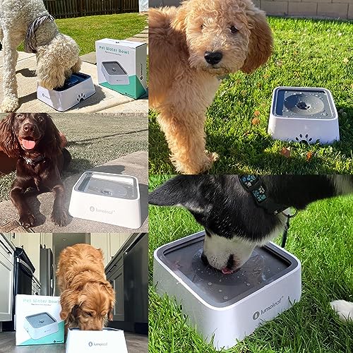 LumoLeaf Wassernapf für Hunde, 2L, Anti-Schwapp Fressnapf Hund Unterwegs mit Kohlefilter, Hundenapf Reise Trinknapf Wasserspender