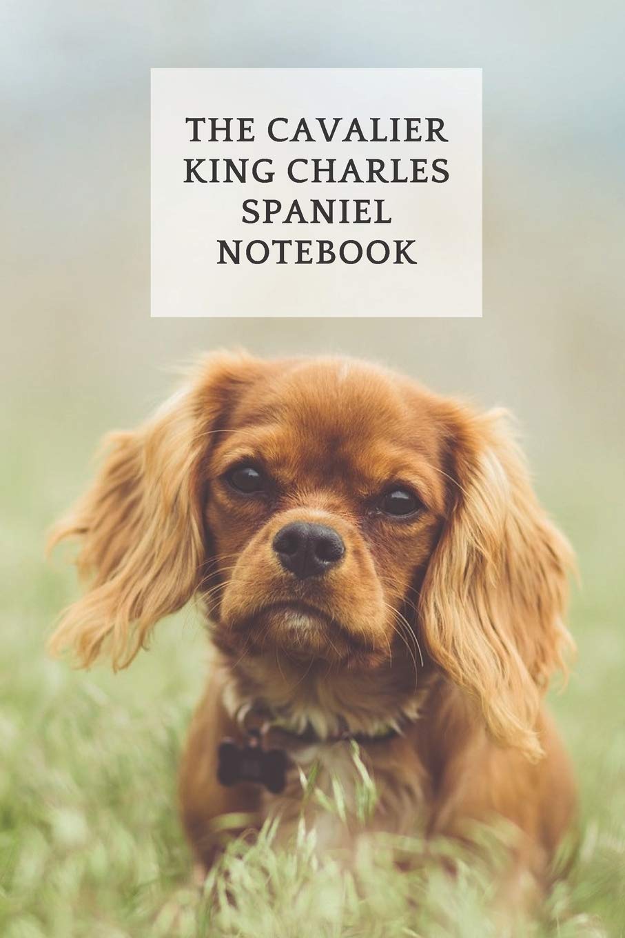 The Cavalier King Charles Spaniel Notebook: Journal For King Charles Spaniel Owners & Lovers - Write Your Thoughts, Feelings, Ideas and Dog Stories.