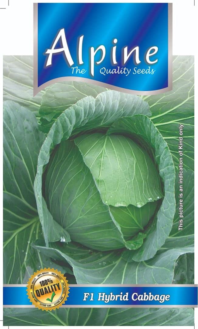 Alpine F1 Hybrid Cabbage Seeds (50 seeds/packet) (B09FGSG389) Amazon Price History, Amazon Price Tracker