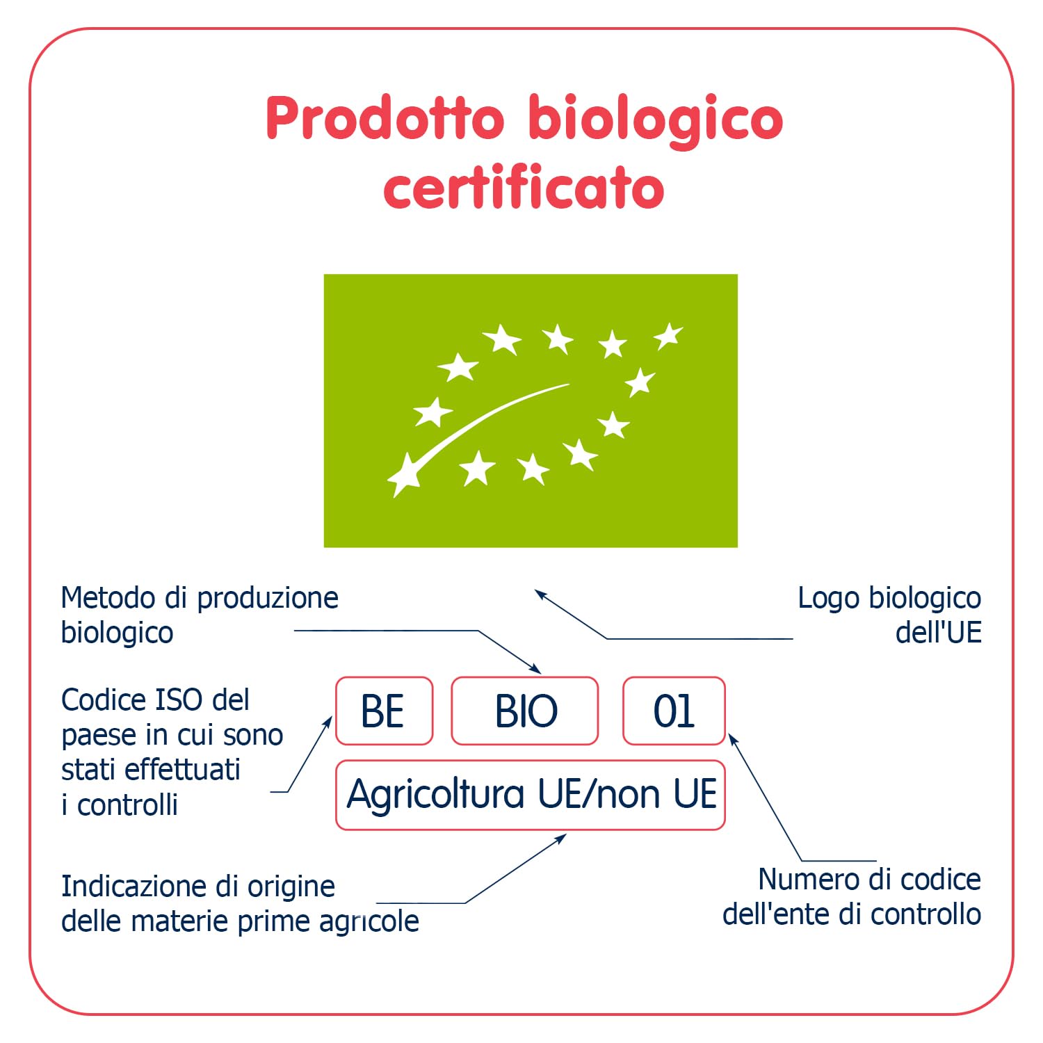 FLEUR ALPINE Biscotti Baby - Confezione da 12 x 2 deliziosi snack per bambini per una deliziosa colazione a base di porridge - Semplici biscotti integrali - 9 mesi