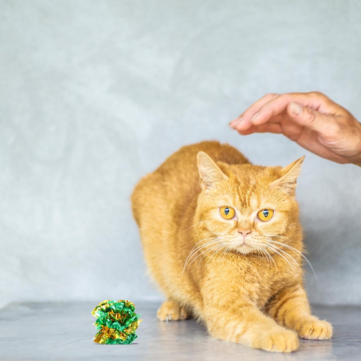 FRCOLOR 6pcs Crinkle Cat Toy Cat Toys Balls for s Exercise s s for Pets Crinkle Balls for s Pet s Kitten s Hair Ring Bulk - Image 3