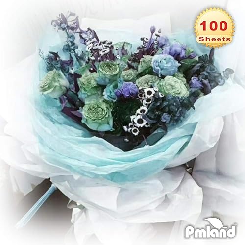 Miniatura 142 de PMLAND - Papel de regalo de calidad superior, 15 x 20 pulgadas, 100 hojas Azul Aqua