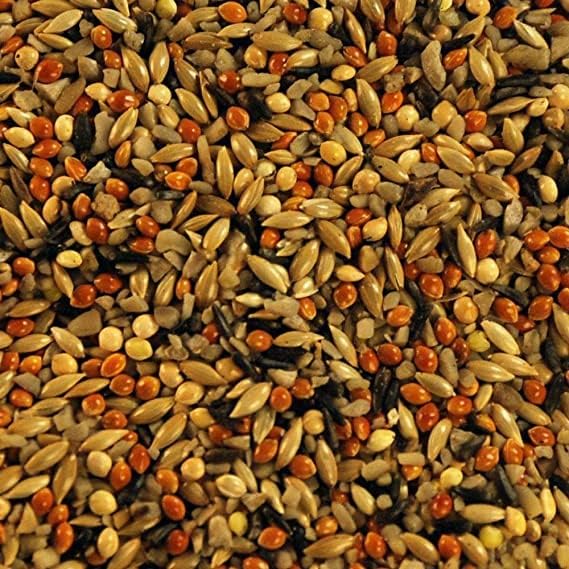 Megha Farms Bird Feed Sparrow Feed 450 Gram for All Small Wild Birds, House Sparrows, Finches, Indian Munias,Pellet