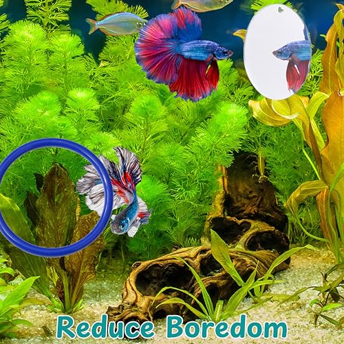 Image of Betta Fish Enrichment Toys Ring and Mirror , Floating Exercise Mirrors And Training Ring, Floating Mirrors Aquarium With Feeding Rings, Fish Toys, Betta Fish Tank Accessories (Blue+Mirror, 6.4cm)