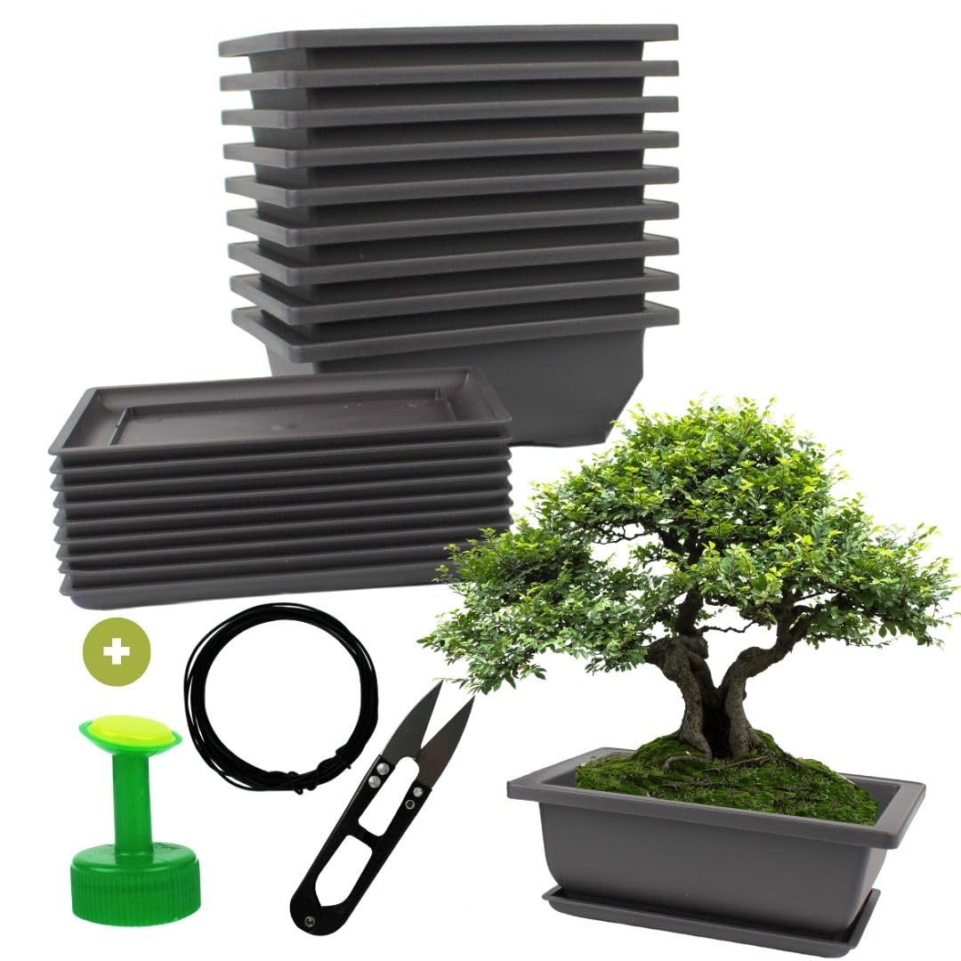 Lote de 10 tarros para Bonsai con platillo - Kit completo para cultivo y cuidado: macetas de plástico con hilo Bonsai, podadora, tapón de regadera y drenaje integrado
