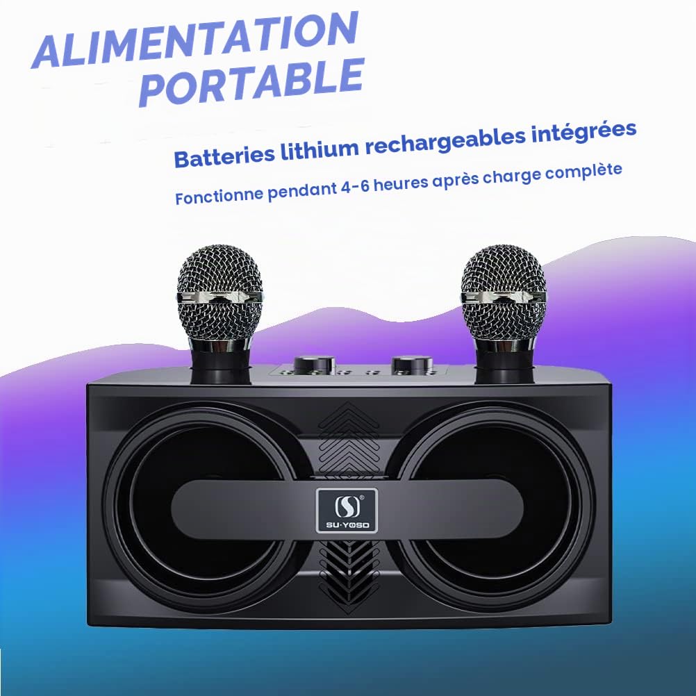 Machine de karaoké, système de Haut-parleurs Portable avec 2 Microphones sans Fil Karaoke Complet Karaoke Adulte Bluetooth 20W Enceinte Karaoké Portable fête à la Maison, réunion, Mariage,