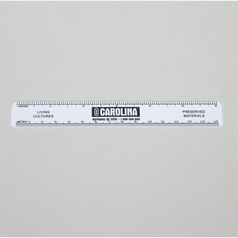 Ruler, White Vinyl, Pack Of 12, Celsius And Fahrenheit Scales On Reverse Side