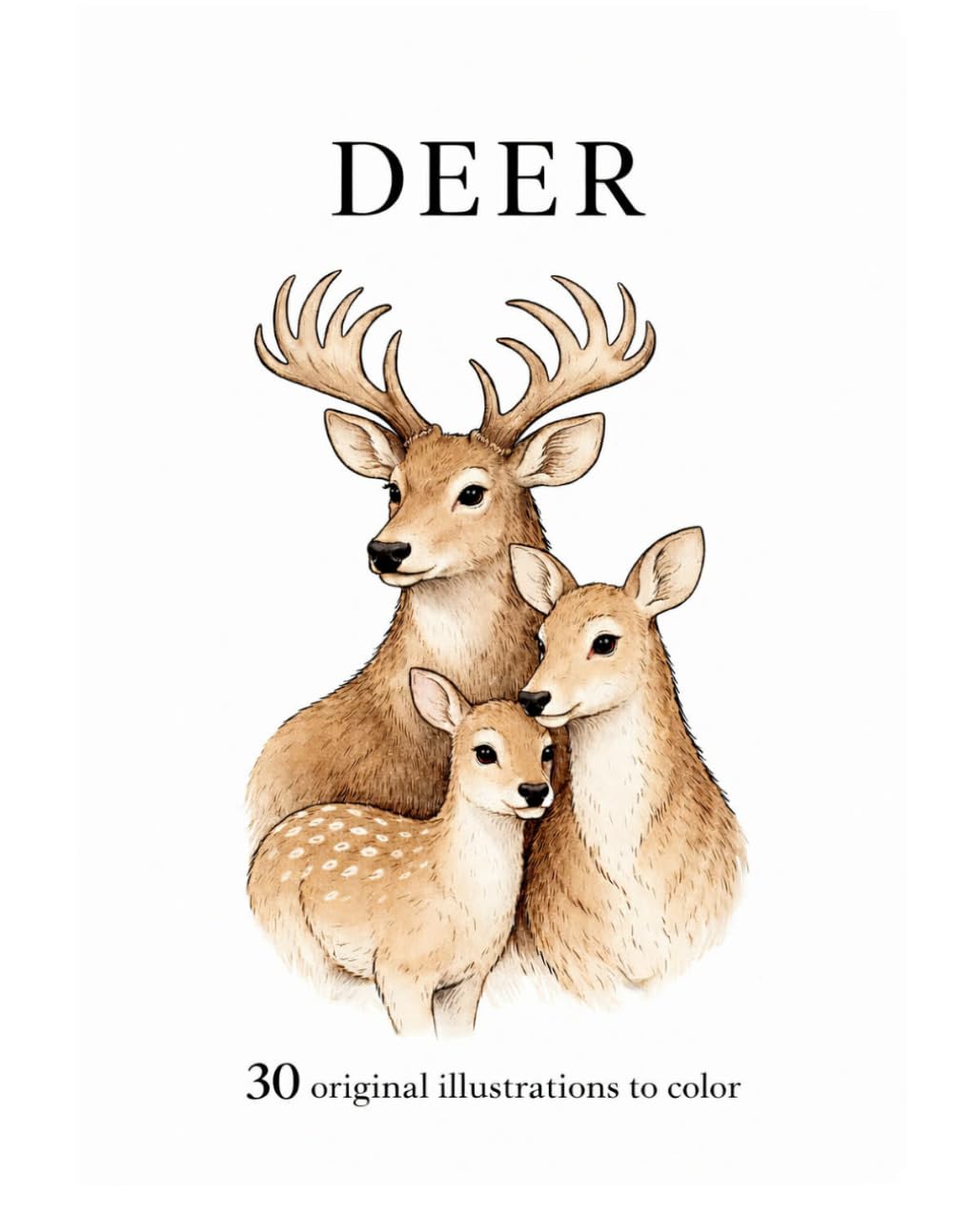 Deer: 30 original illustrations to color