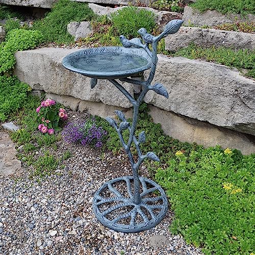 Image of Oakland Living Meadow Bird Bath, Verdi Grey