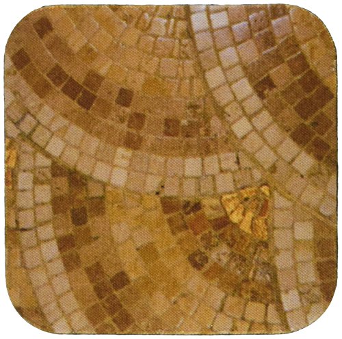 3dRose LLC Scallop Copper Like Coaster, Soft, Set of 8