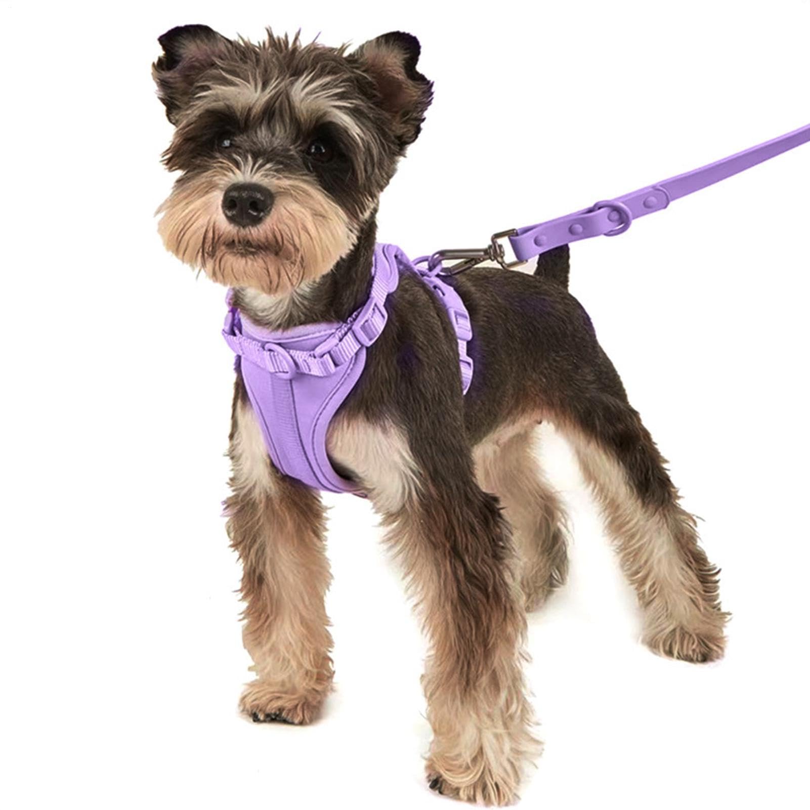 Hundegeschirr-Set für kleine Hunde, Hundeleinen-Set, Haustiergeschirr | Halsband und Leine im Set, Multifunktionales Leinen-Set für mittelgroße Hunde, leicht zu Fuß, für jeden Tag, verstellbares Hu