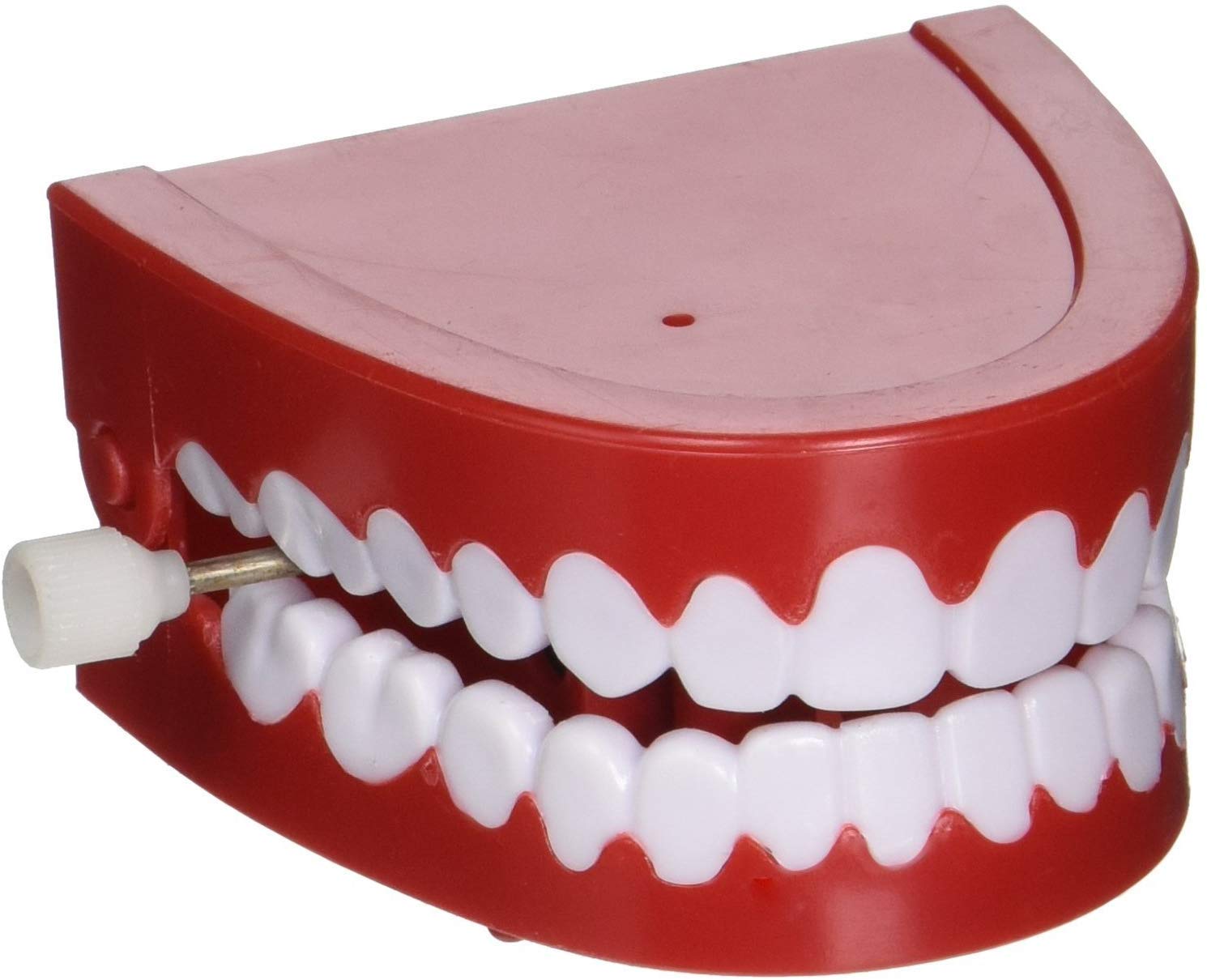 Rhode Island Chattering Teeth