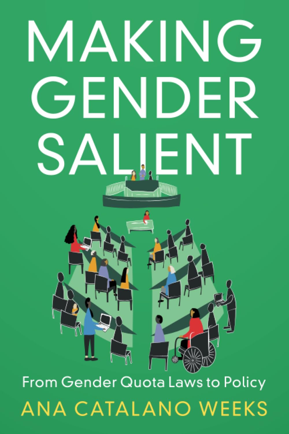 Making Gender Salient: From Gender Quota Laws to Policy (Cambridge Studies in Gender and Politics)