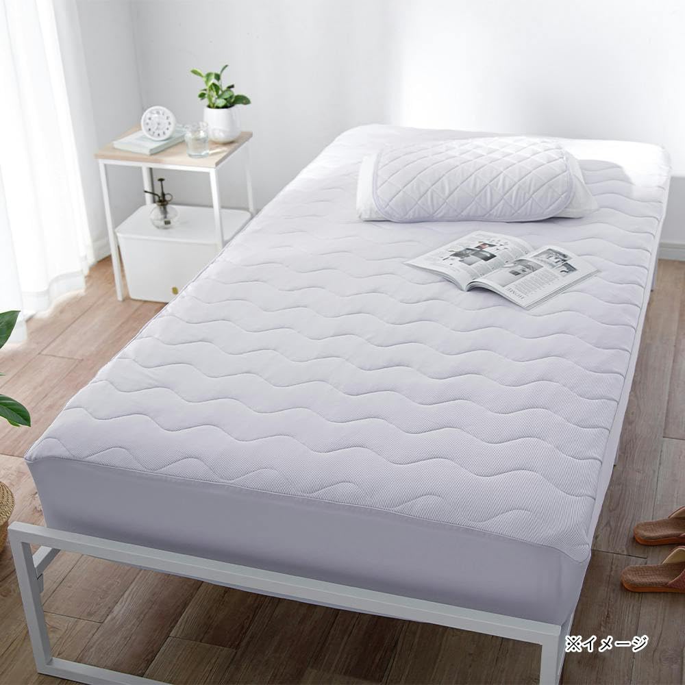 Amazon｜カインズ(CAINZ) 【2024春夏】両面使えるもっとひんやり