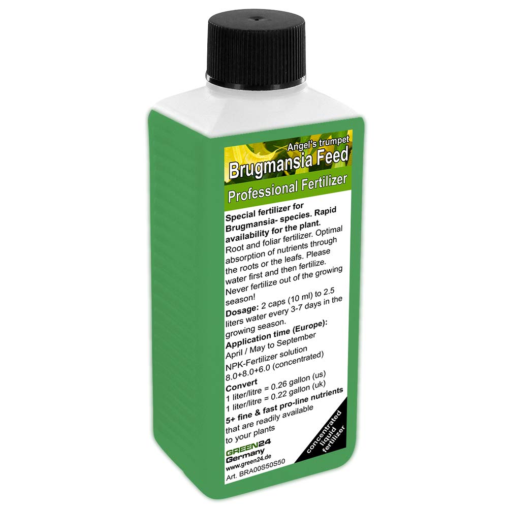 GREEN24 Brugmansia, Datura (Angel's Trumpets) Liquid Fertilizer HighTech NPK, Root Soil Foliar Fertiliser - Professional Plant Food