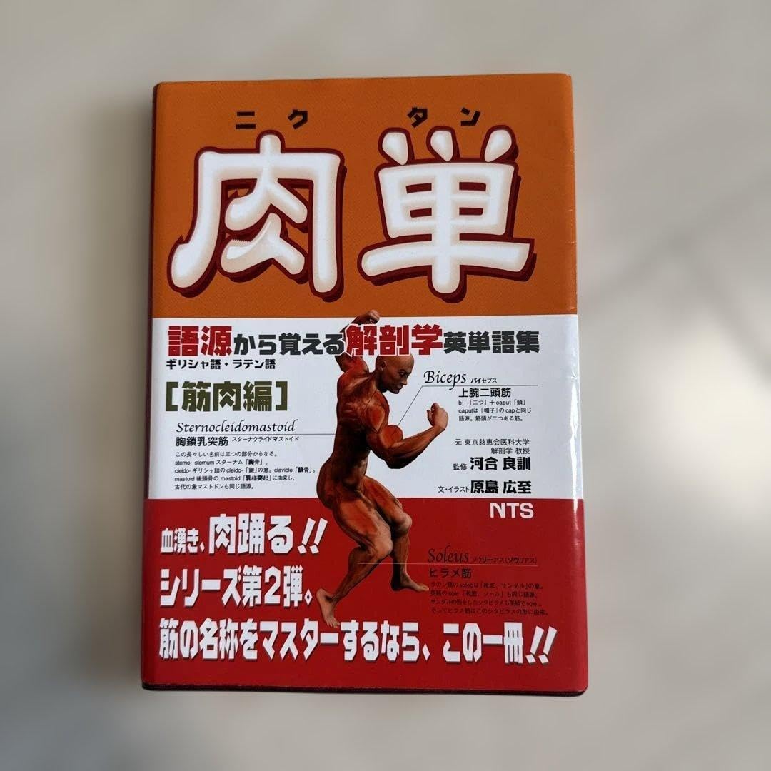 解剖学英語単語集シリーズ&times;3 R