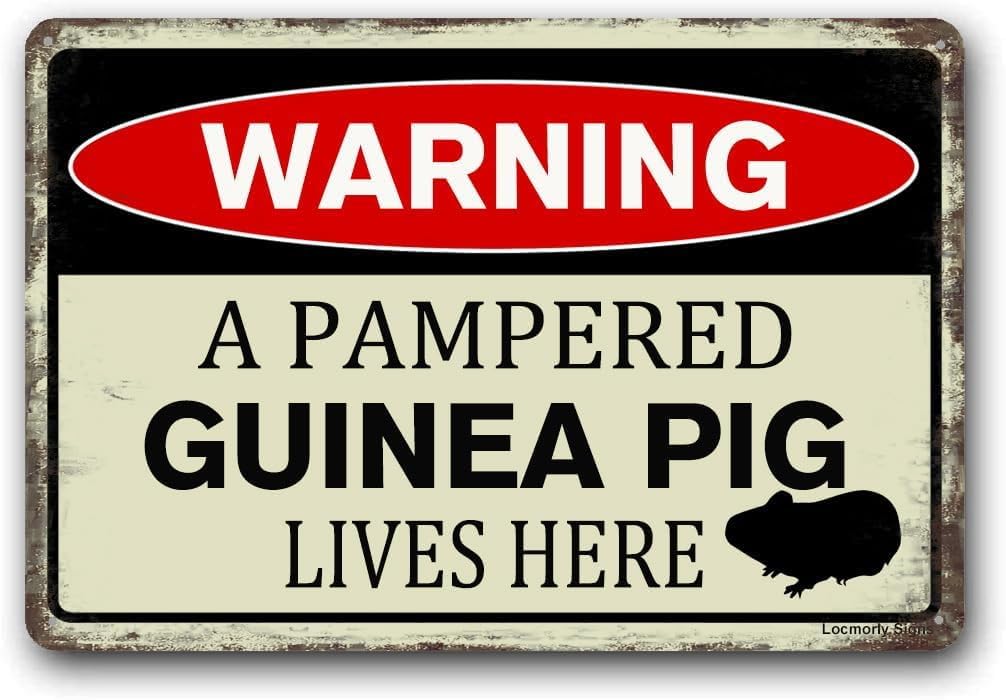 (2-Pack) Metal Tin Sign Vintage Warning a Pampered Guinea Pig Lives here Sign, 8x12 Inch, Sign for Guinea Pig Lovers