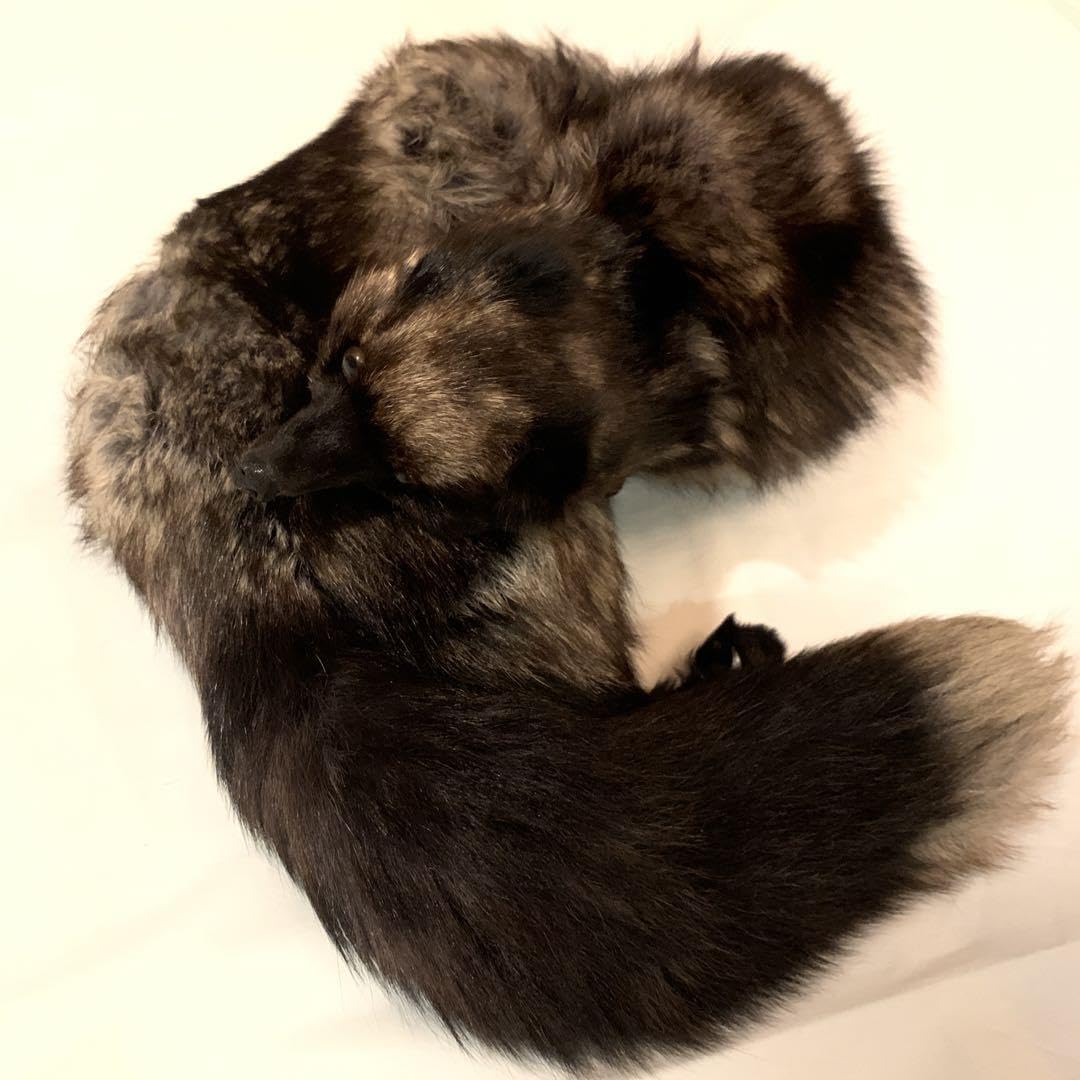 毛皮、テン、タヌキ、キツネの襟巻き キツネの襟巻き | 魔界ノ風鷹