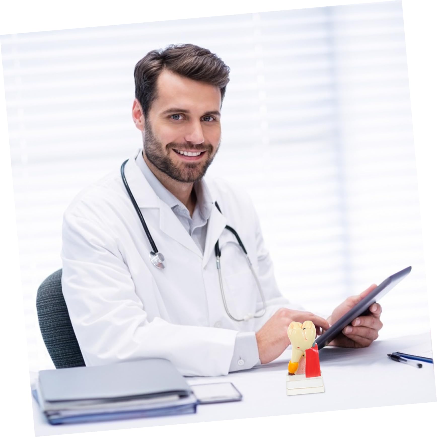 Modello di Carie Dentale in Resina Beige Leggero per Dimostrazione | Strumento Didattico Odontoiatrico, Modello Anatomico Denti per Studio, Materiale Resina