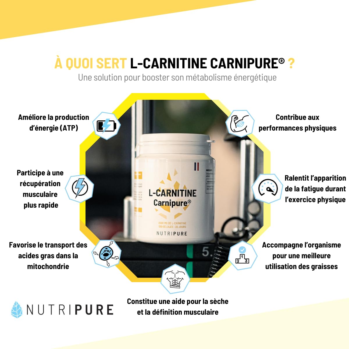 Nutripure | L-Carnitine Carnipure® 2000 mg | Forme Pure | 150 Gélules | Énergie & Métabolisme | Haute Biodisponible | Idéal Avant l'Entraînement | Vegan | 1 Mois | Made in France