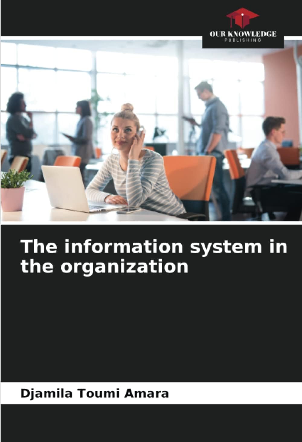 The information system in the organization