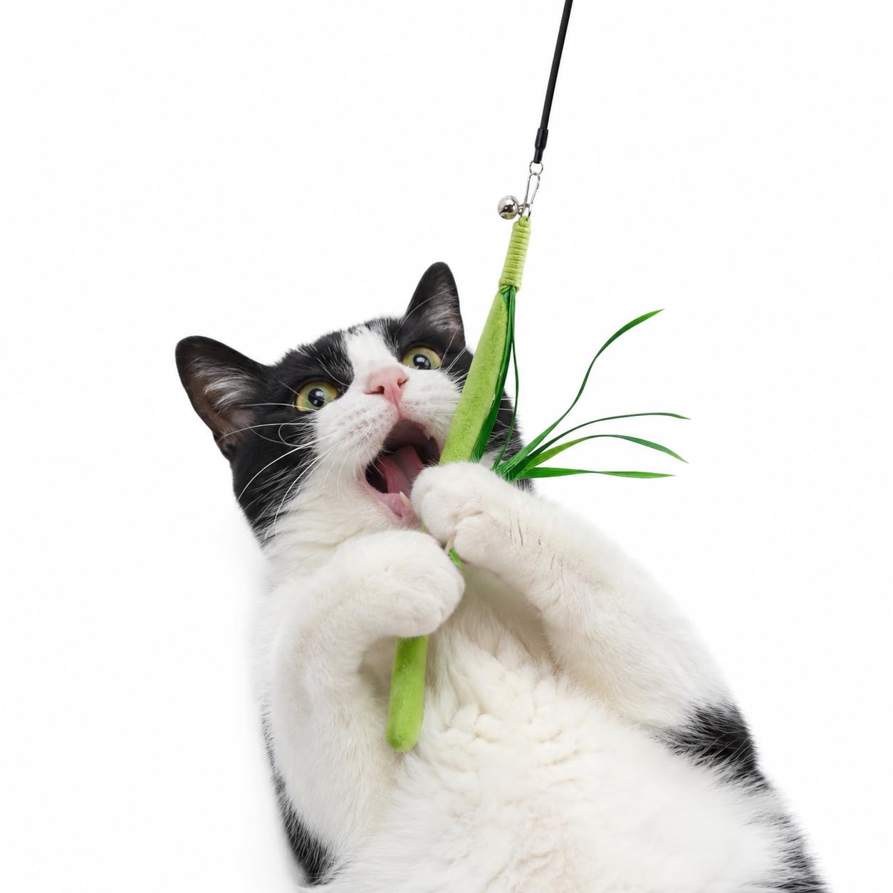 Amazon | GHOSTCAT 猫じゃらし 猫おもちゃ 猫のおもちゃ ススキ草