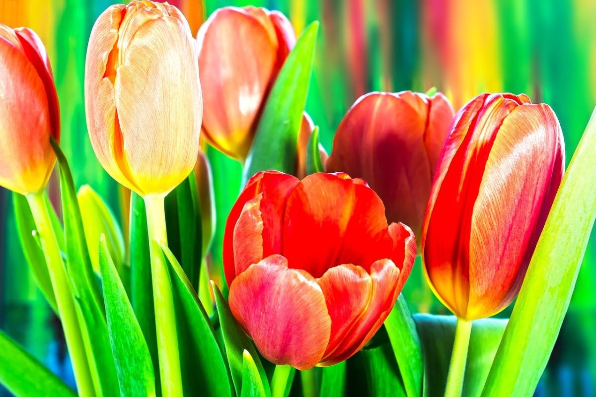11Ct Flores De Tulipán Coloridas Kits De Punto De Cruz Flores Coloridas Estampado Manualidades Suministros De Punto De Cruz Costura Kit De Punto De Cruz Con Estampado Con Tela De Lona 80x100cm