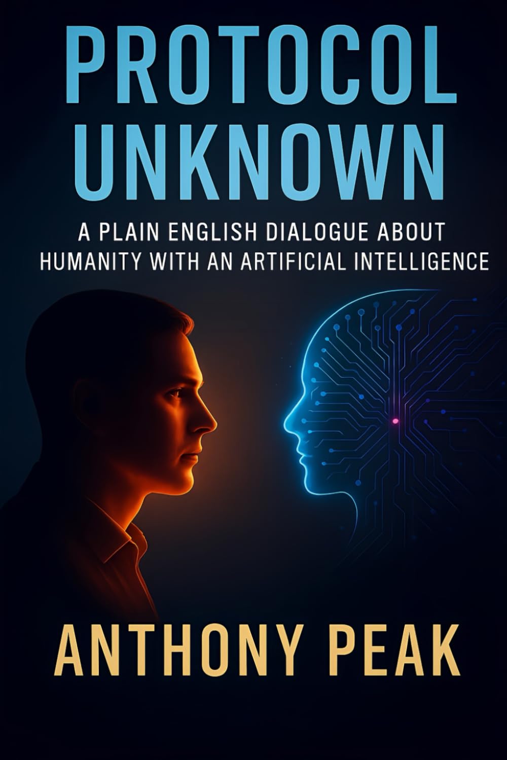PROTOCOL UNKNOWN: A PLAIN ENGLISH DIALOGUE ABOUT HUMANITY WITH AN ARTIFICIAL INTELLIGENCE