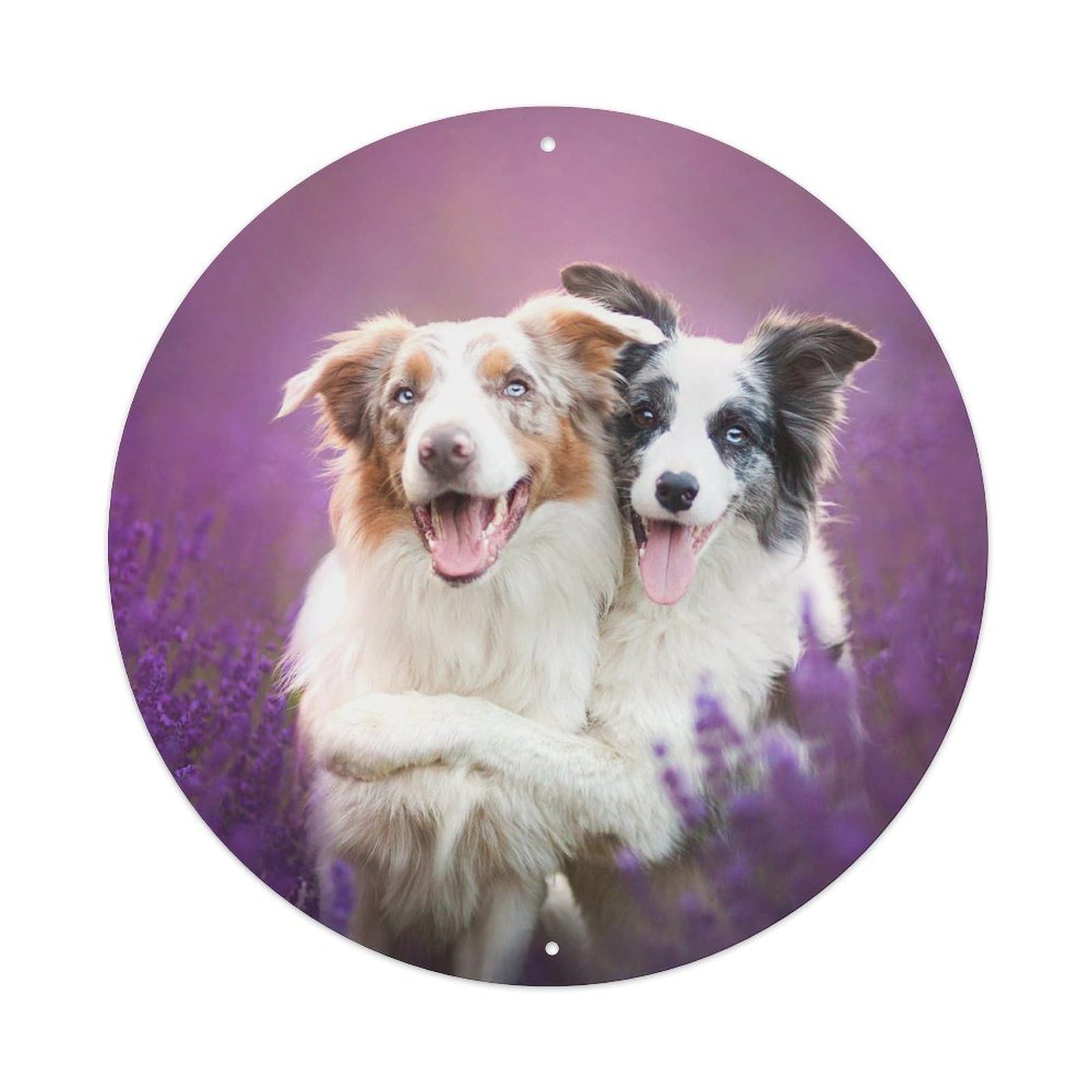 Animal Dog Playing in Flowers Metal Tin Sign