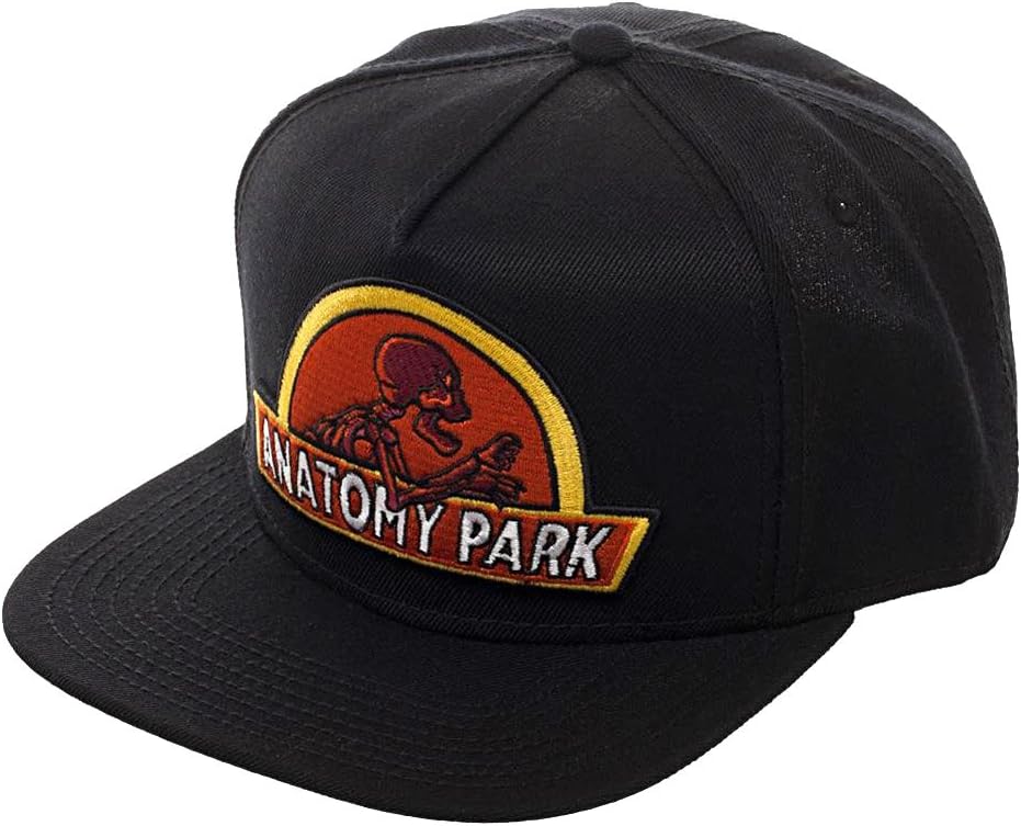 RICK AND MORTY Anatomy Park Logo Snapback Baseball Hat Multi