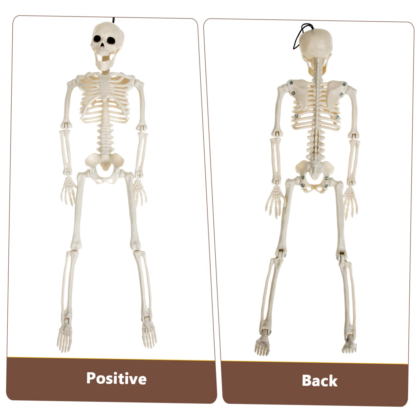 Toyvian 4 Piezas Esqueleto Humano Esqueleto Adorno De Esqueleto De Miedo De Halloween Articulación del Esqueleto De Halloween Figura De Esqueleto Novio Móvil Ornamento El Plastico